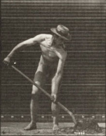 Plate 387 Farmer, using a long handled shovel — figure reference